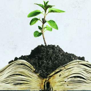 برزآویا یا برزوییه طبیب کیست؟